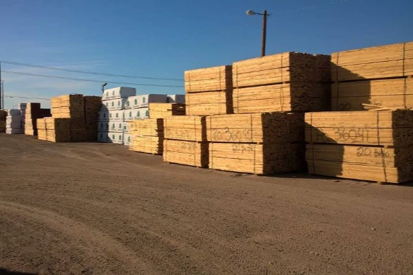 Tios Parking's Other Services